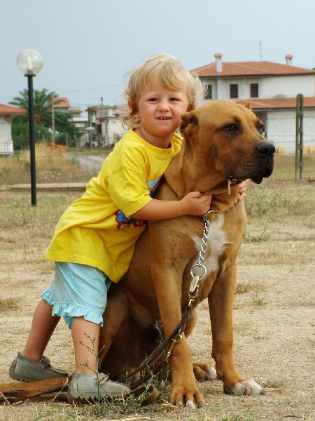 un verro abbracio.jpg - Click to close this window
